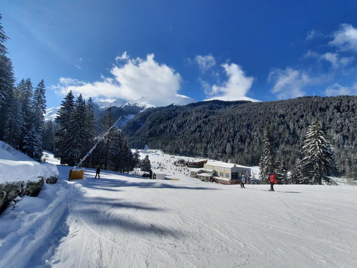 Apartment In Aspen Golf Bansko Bagian luar foto
